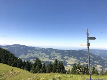 KAC Gaissau Kräuterwanderung 2019 06 29 13 43 26  4730